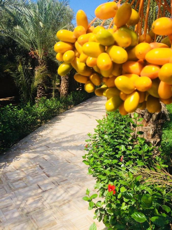 Riad Le Jasmin Taroudant Exteriér fotografie