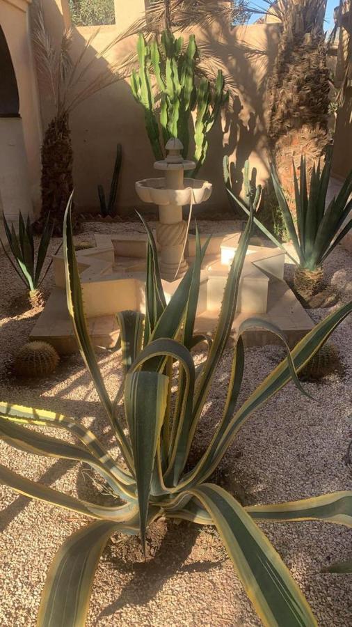 Riad Le Jasmin Taroudant Exteriér fotografie