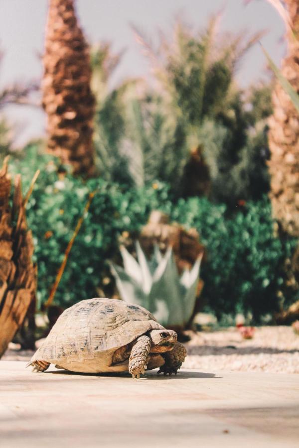 Riad Le Jasmin Taroudant Exteriér fotografie
