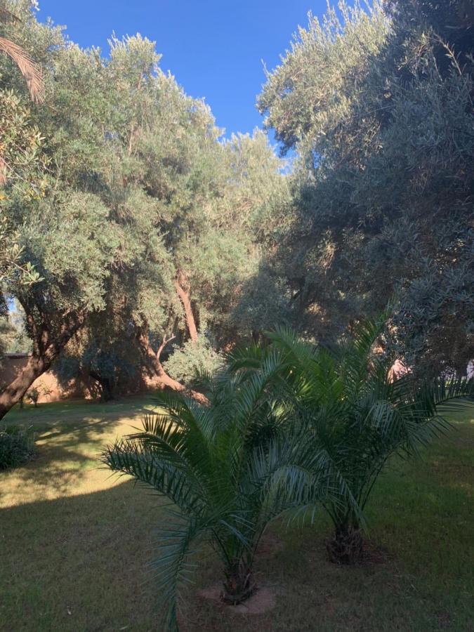 Riad Le Jasmin Taroudant Exteriér fotografie