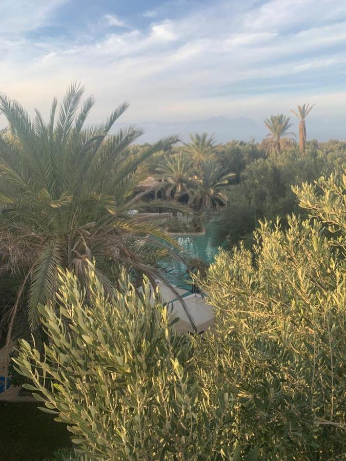 Riad Le Jasmin Taroudant Exteriér fotografie
