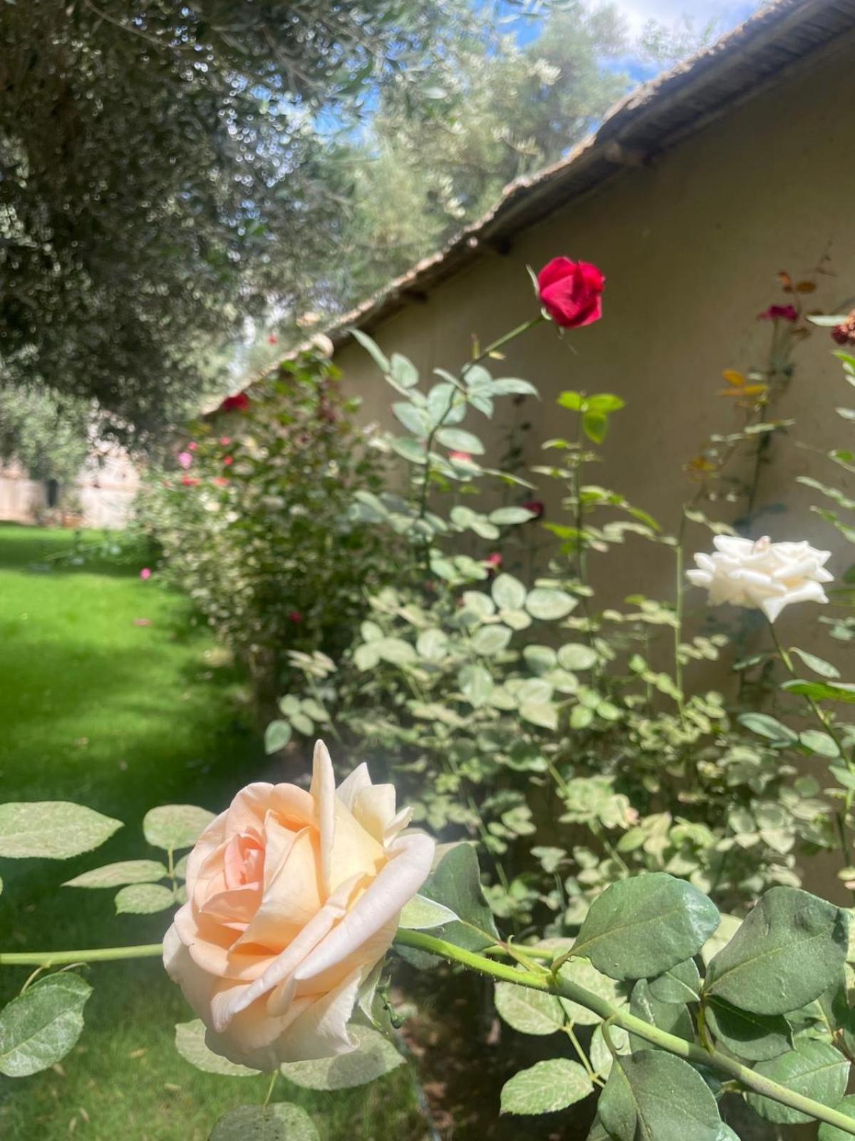 Riad Le Jasmin Taroudant Exteriér fotografie