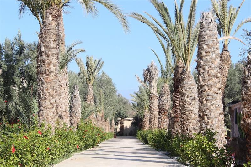 Riad Le Jasmin Taroudant Exteriér fotografie